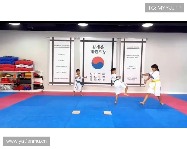 科学高效的跆拳道训练计划与技巧提升方案全面解析