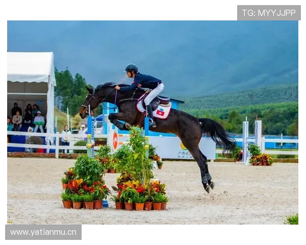 《短跑比赛观赛全攻略：赛事解读、选手分析与精彩瞬间回顾》