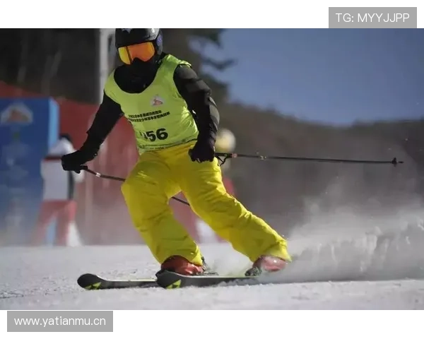 以滑雪战术配合为核心探讨团队协同与技术策略提升路径研究