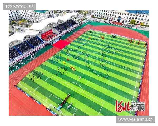 燃情绿茵赛场少年逐梦脚下闪耀激情足球之魂